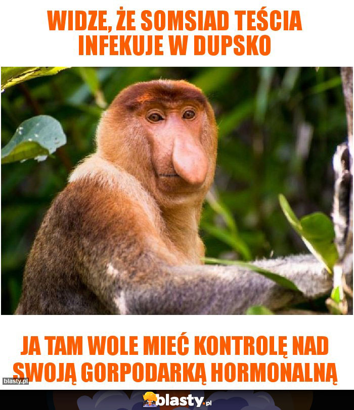 Widze, że somsiad teścia infekuje w dupsko