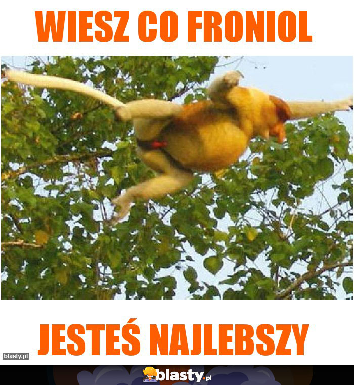 Wiesz co froniol