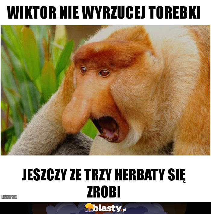wiktor nie wyrzucej torebki