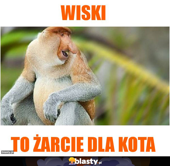 WISKI