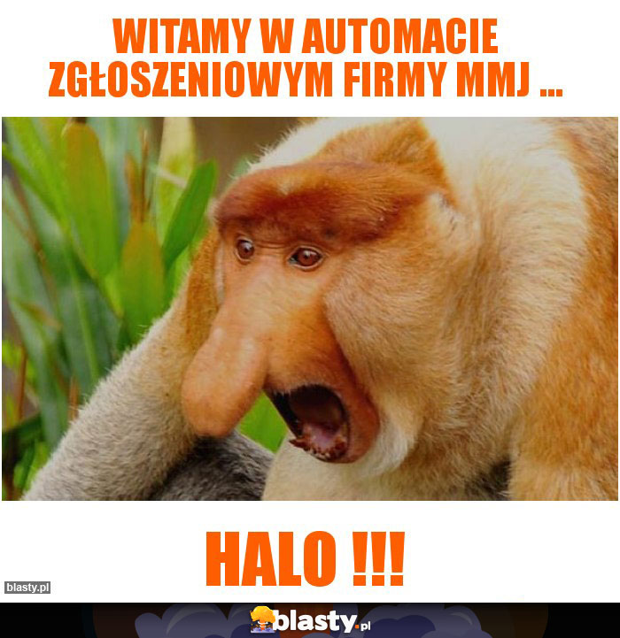 Witamy w automacie zgłoszeniowym firmy mmj ...