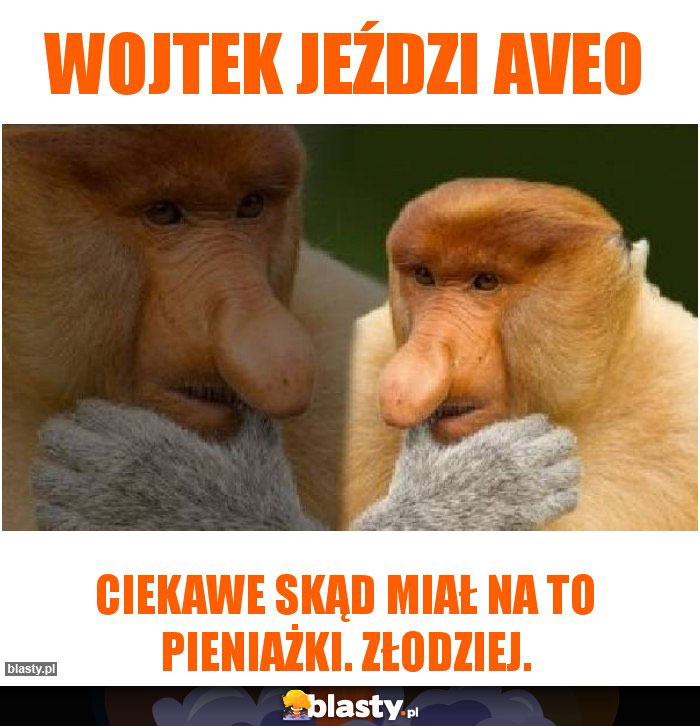 Wojtek jeździ Aveo
