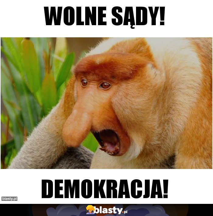 WOLNE SĄDY!