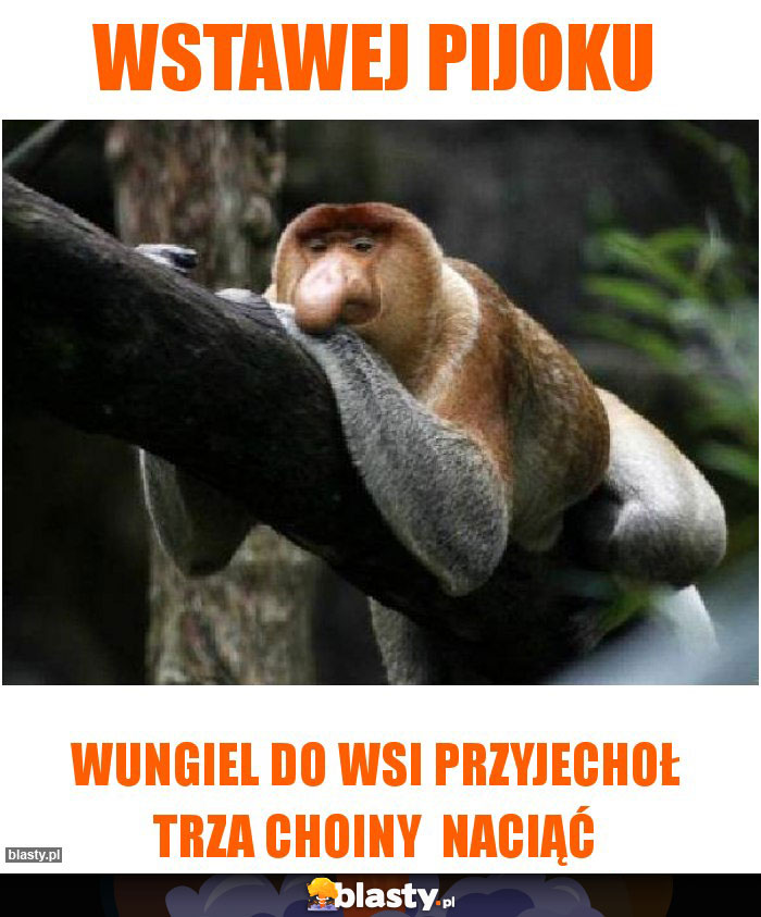 Wstawej pijoku