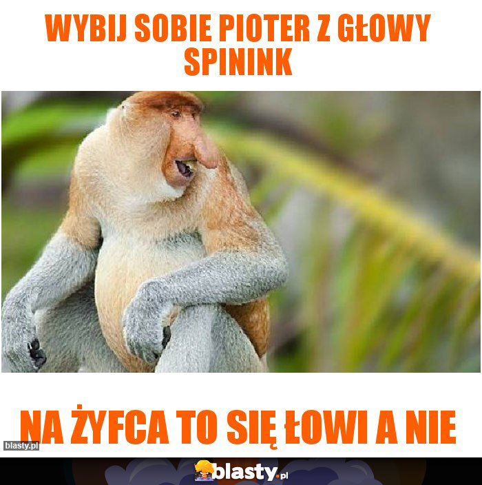 Wybij sobie Pioter z głowy spinink