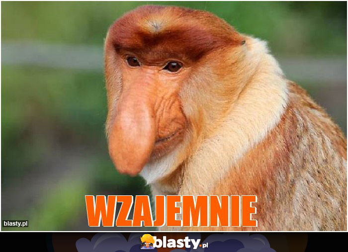 WZAJEMNIE