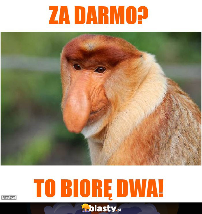 Za darmo?