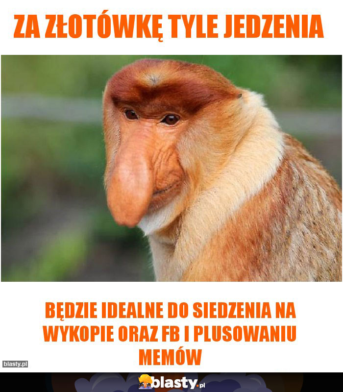 Za złotówkę tyle jedzenia