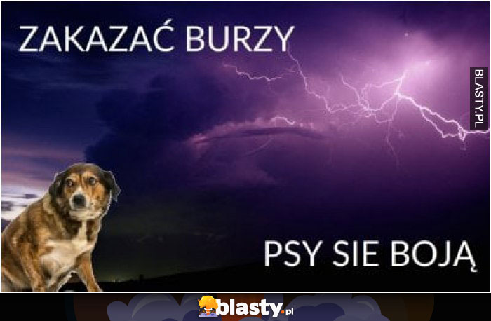 Zakazać burzy psy się boją