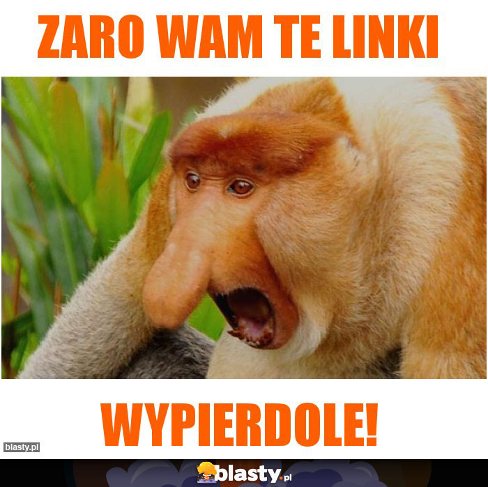 zaro wam te linki