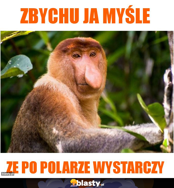 Zbychu ja myśle