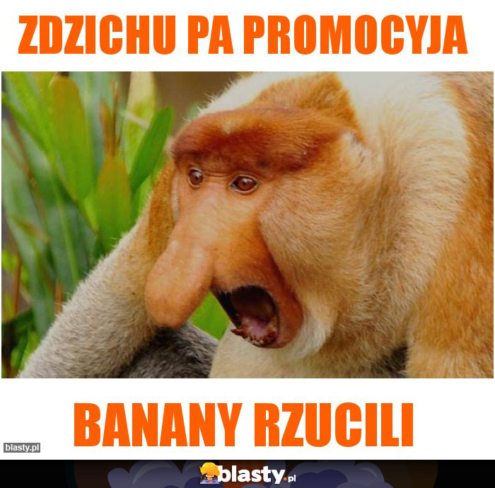 Zdzichu pa promocyja