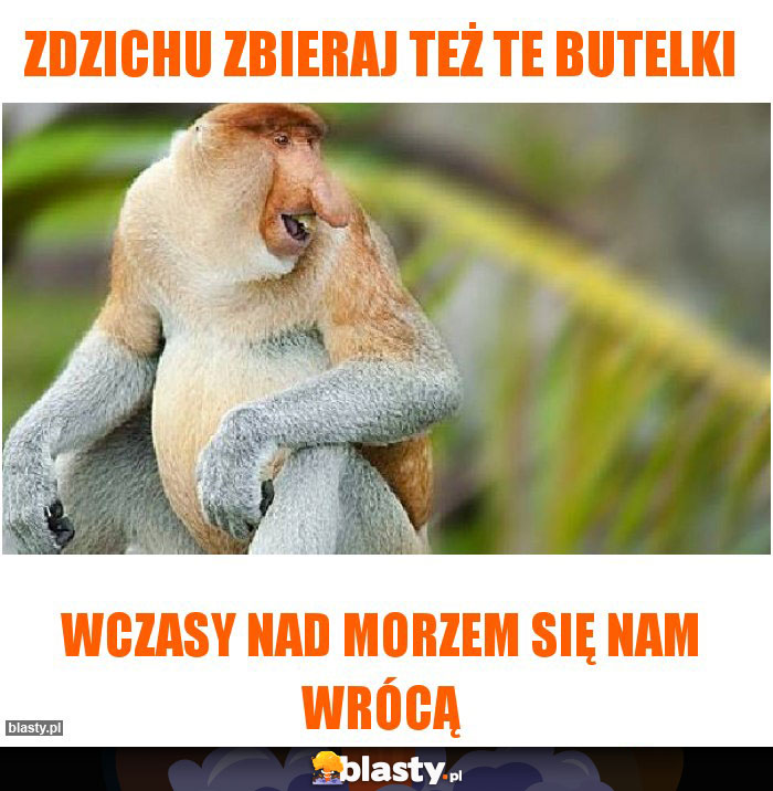 Zdzichu zbieraj też te butelki