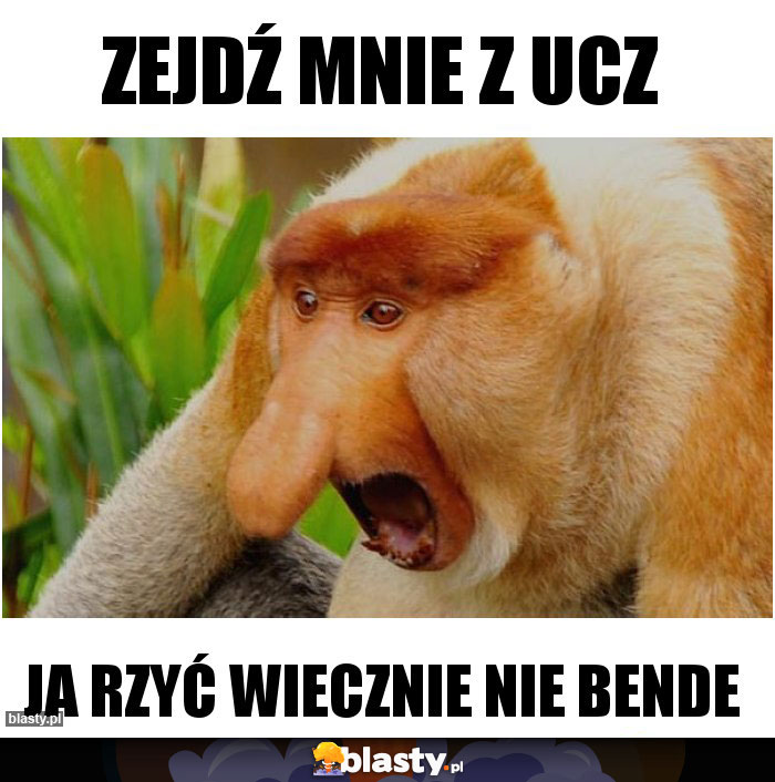 Zejdź mnie z ucz