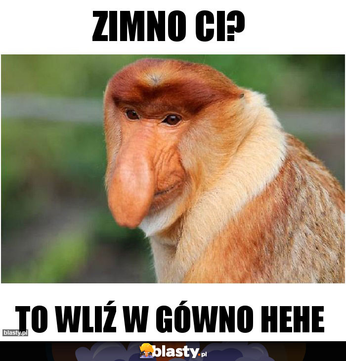 Zimno ci?