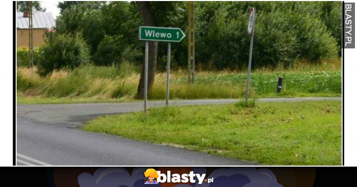 Zmyłka
