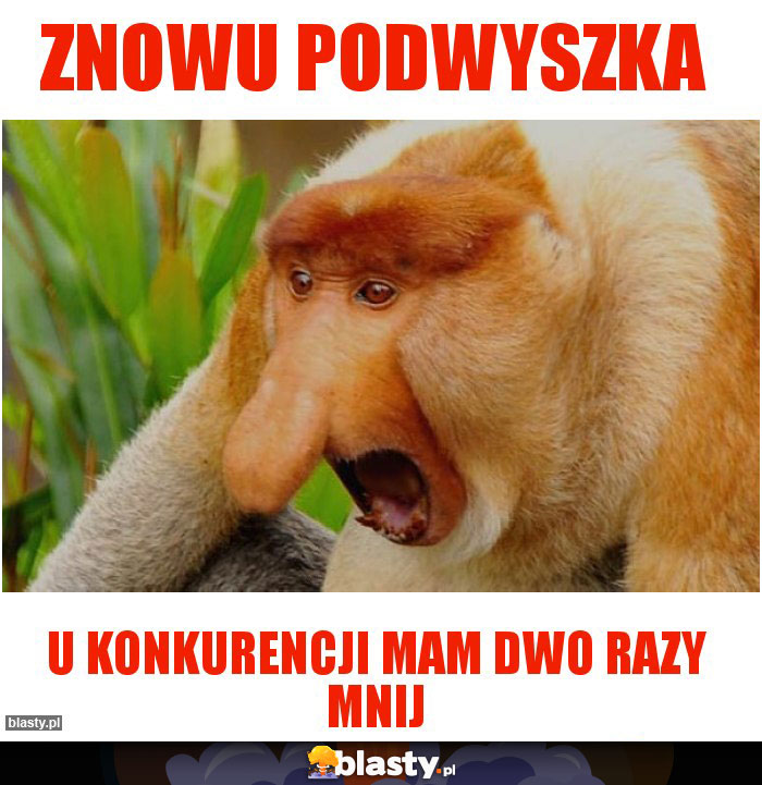 ZNOWU PODWYSZKA