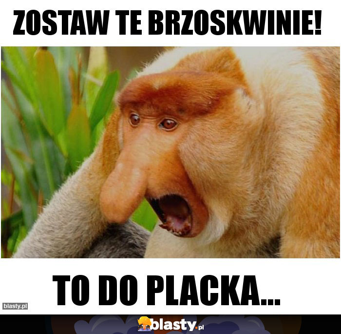 Zostaw te brzoskwinie!