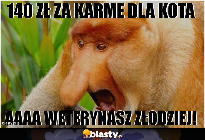 140 zł za karme dla kota