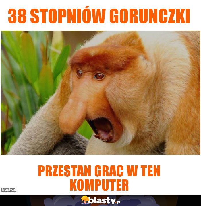 38 stopniów gorunczki