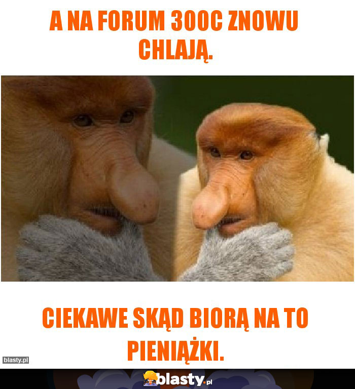 A na forum 300c znowu chlają.