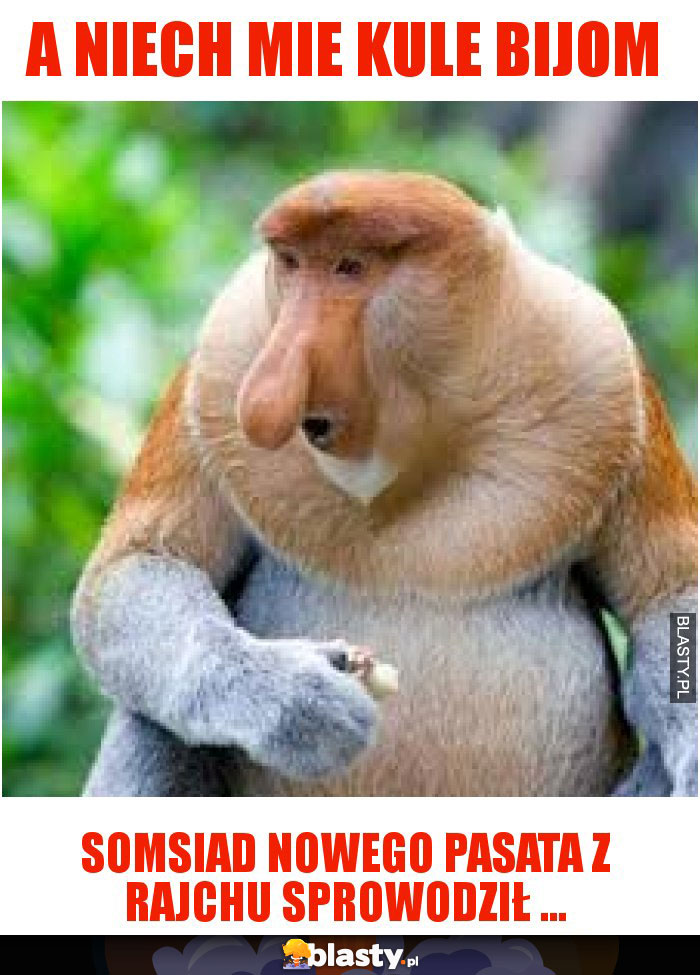 A niech mie kule bijom