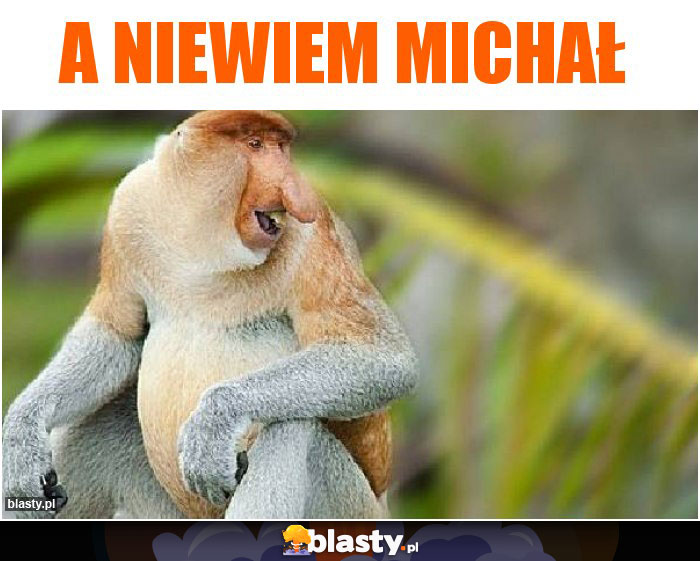 A niewiem michał