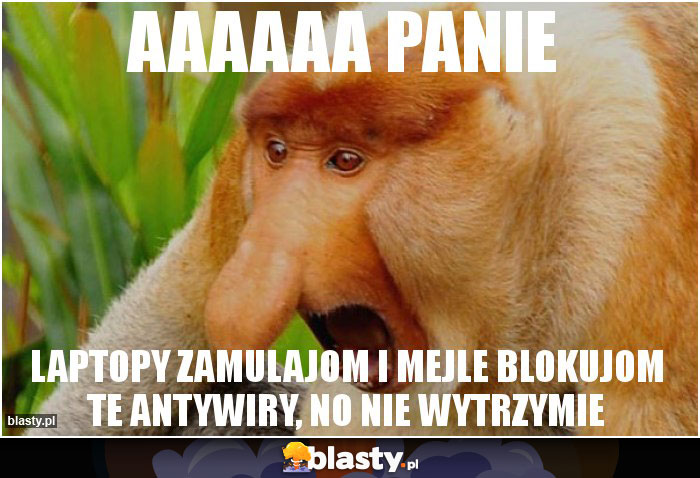 aaaaaa panie