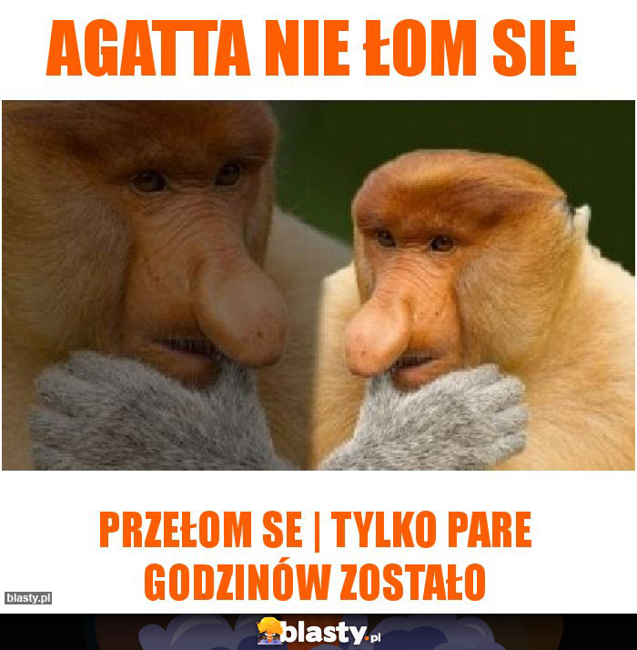 Agatta nie łom sie