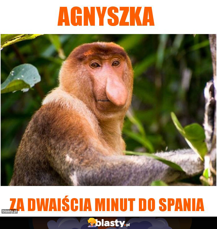 Agnyszka