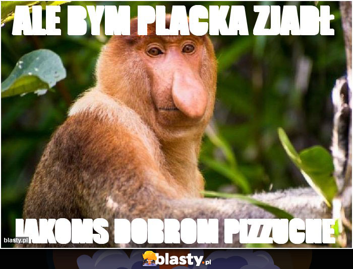 Ale bym placka zjadł