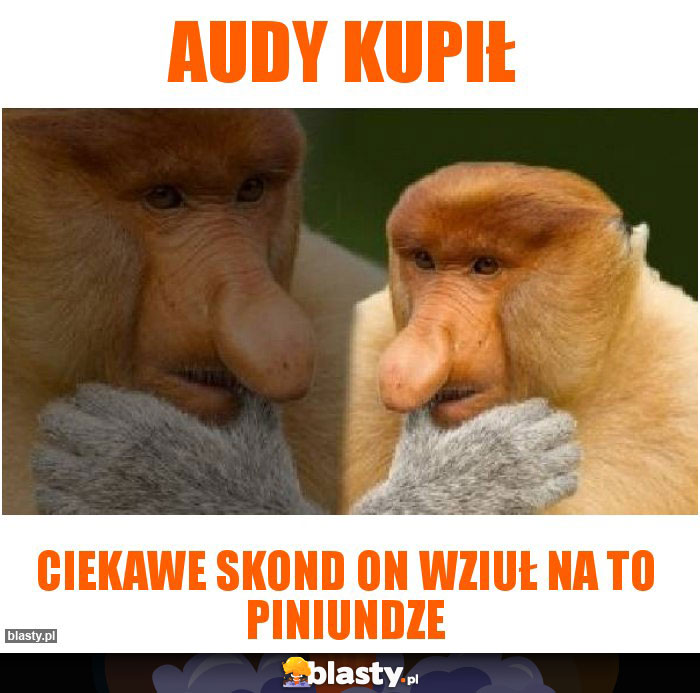 Audy Kupił