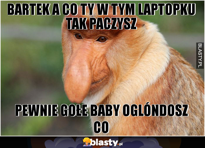 Bartek a co ty w tym laptopku tak paczysz