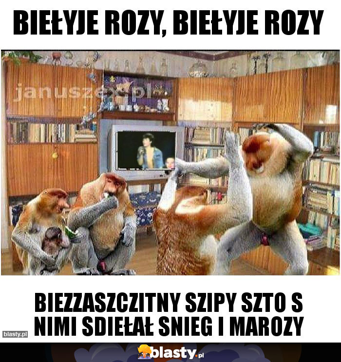 Biełyje rozy, biełyje rozy