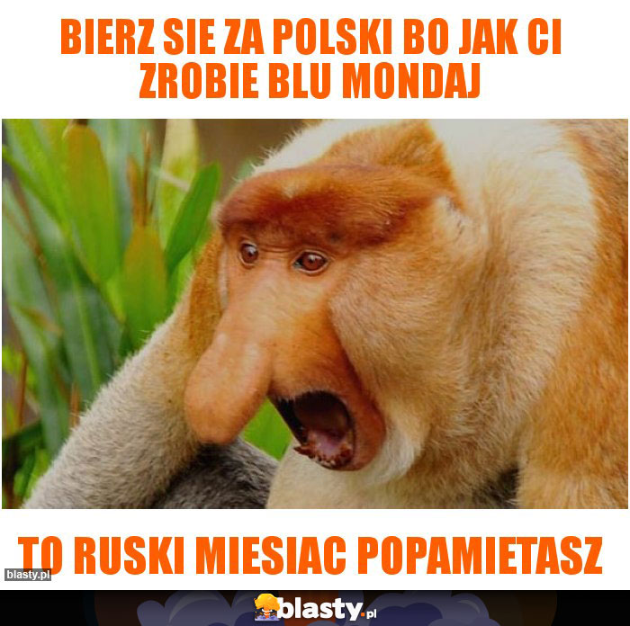 bierz sie za polski bo jak ci zrobie blu mondaj