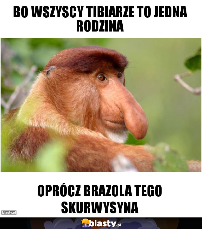 Bo wszyscy Tibiarze to jedna rodzina
