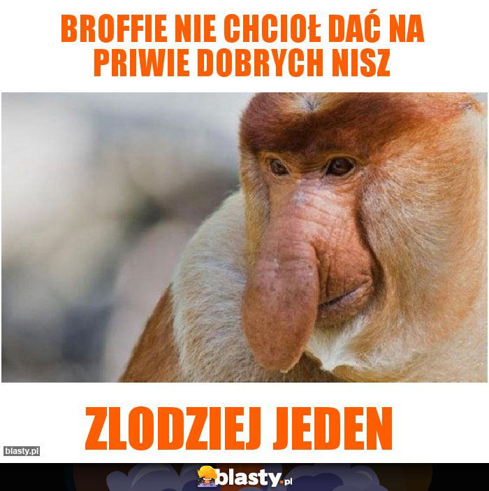 broffie nie chcioł dać na priwie dobrych nisz