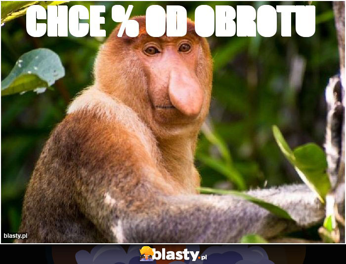 Chce % od obrotu