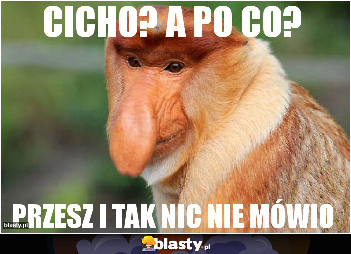 cicho? a po co?