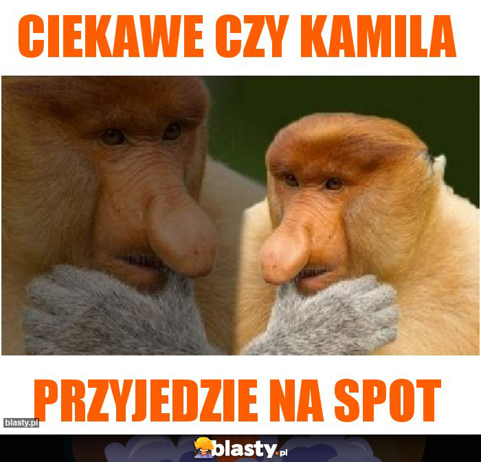 Ciekawe czy Kamila