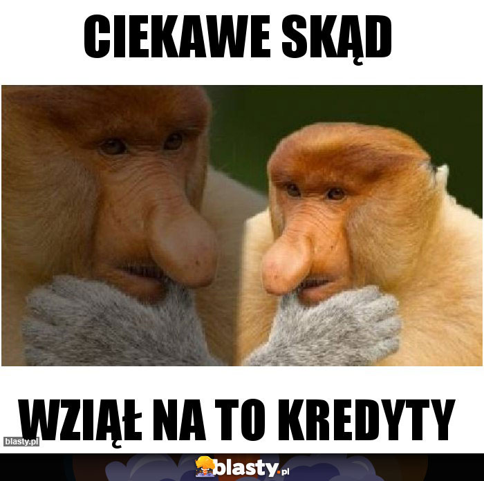 Ciekawe skąd