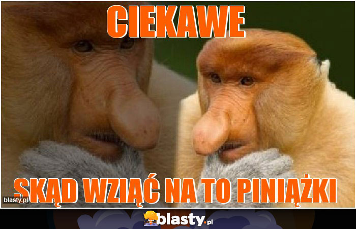 Ciekawe