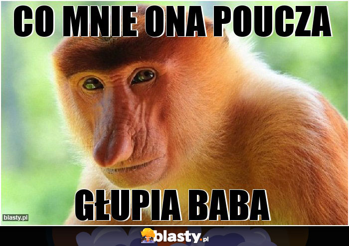 Co mnie ona poucza