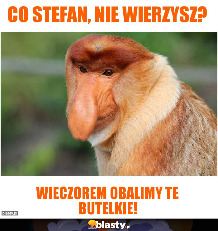 Co Stefan, nie wierzysz?