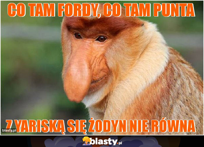 co tam fordy, co tam punta