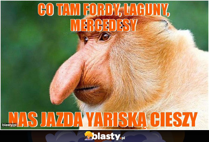 co tam fordy, laguny, mercedesy