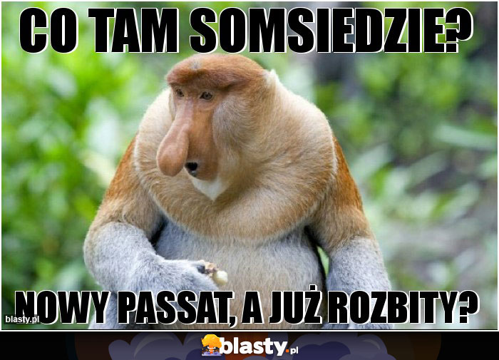 co tam somsiedzie?