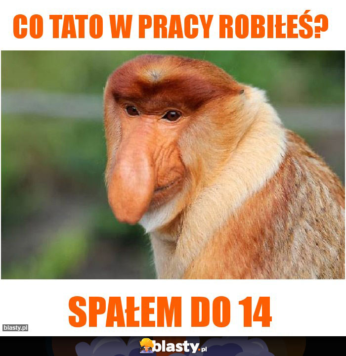 Co tato w pracy robiłeś?