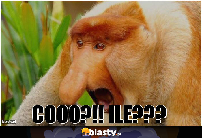 COOO?!! ILE???