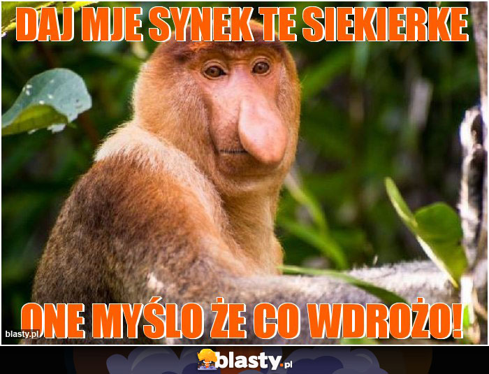 Daj mje synek te siekierke